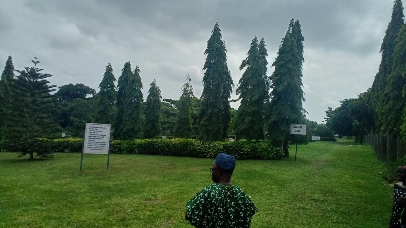 A visit to Lautech Botanical Garden