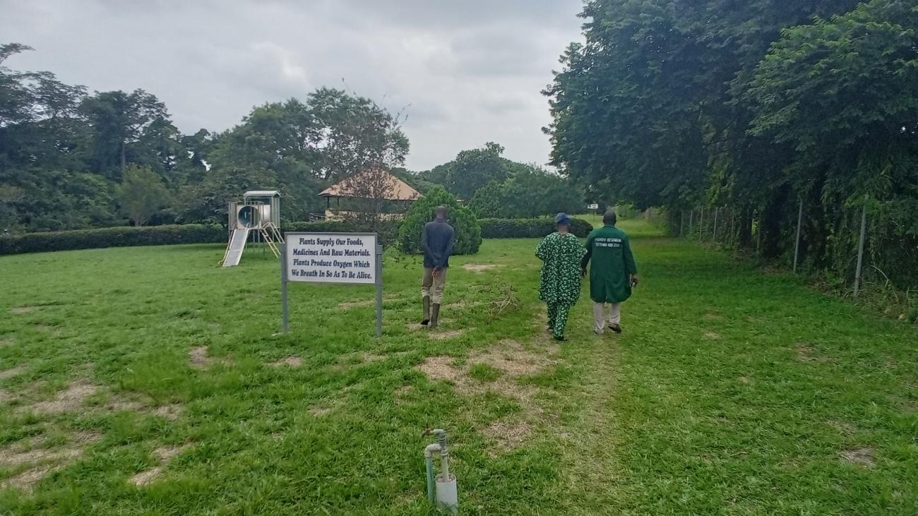 A visit to Lautech Botanical Garden