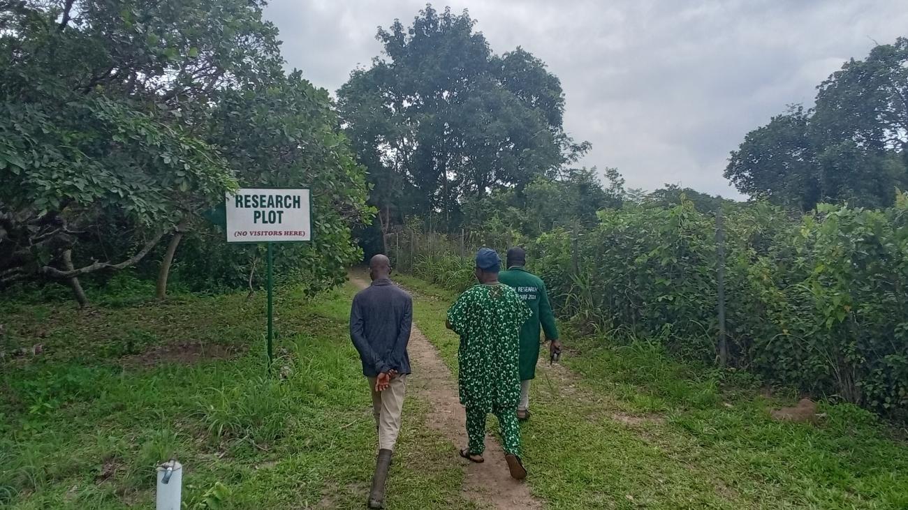 A visit to Lautech Botanical Garden