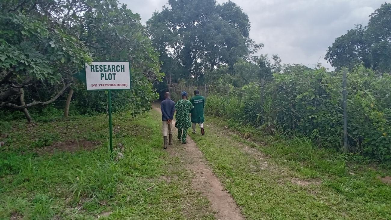 A visit to Lautech Botanical Garden