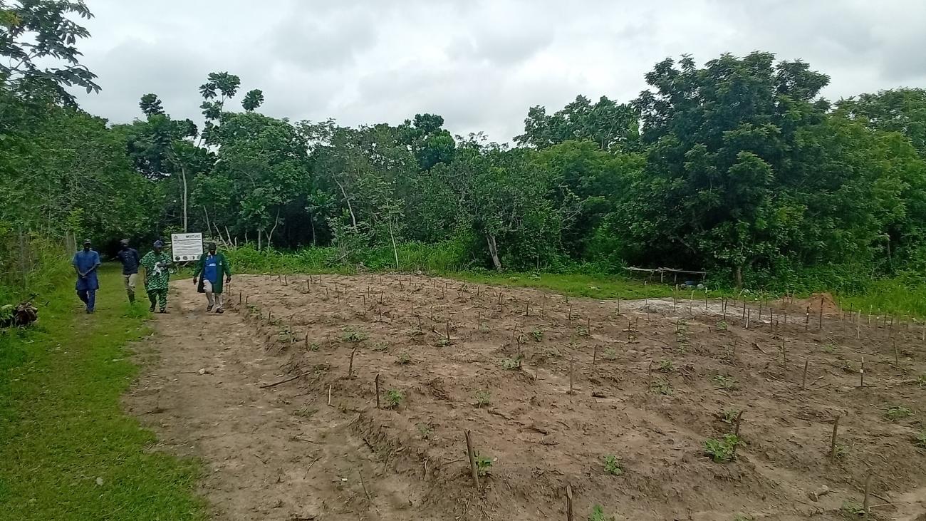 A visit to Lautech Botanical Garden