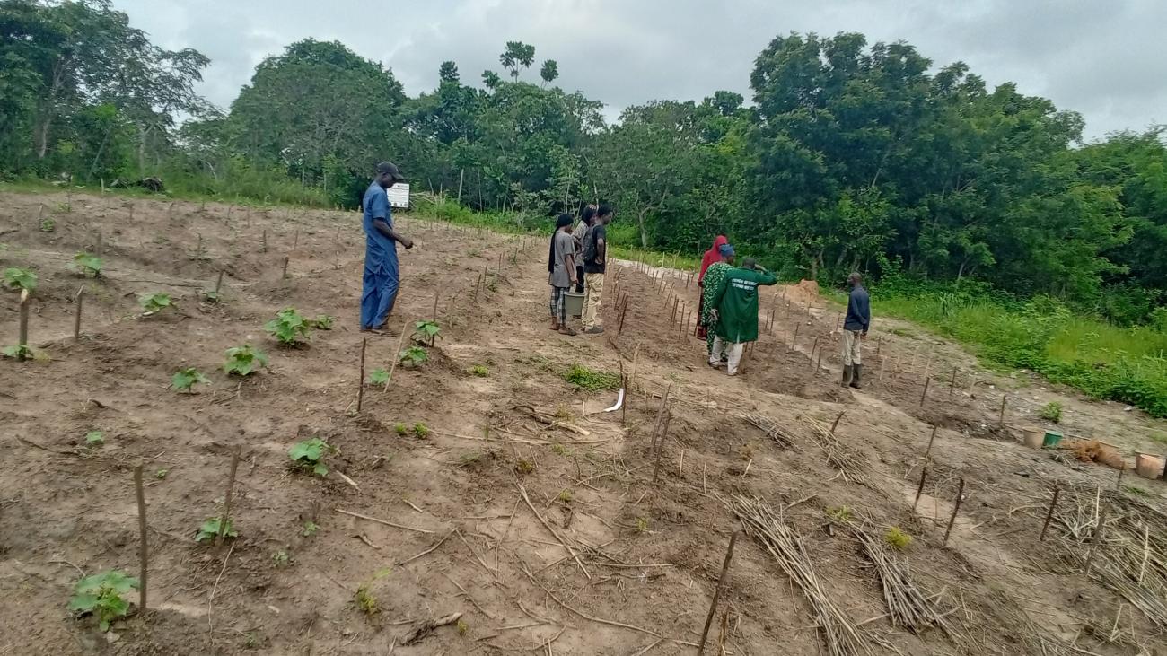 A visit to Lautech Botanical Garden