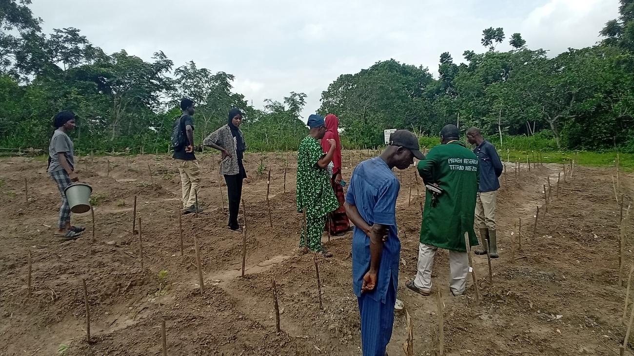 A visit to Lautech Botanical Garden