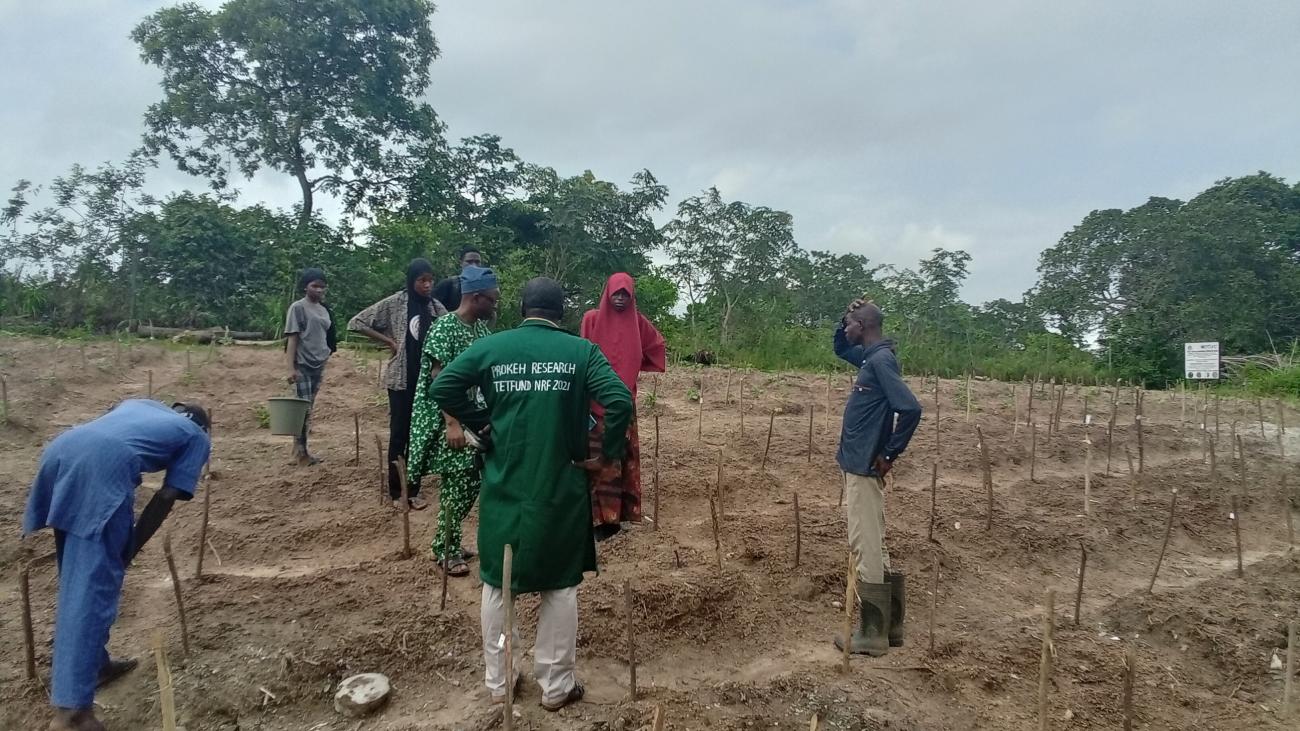 A visit to Lautech Botanical Garden