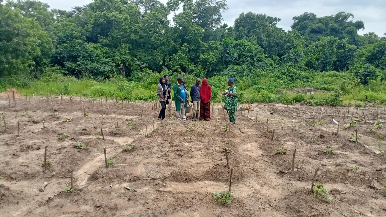 A visit to Lautech Botanical Garden