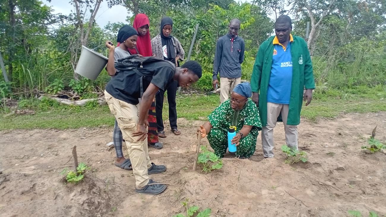 A visit to Lautech Botanical Garden