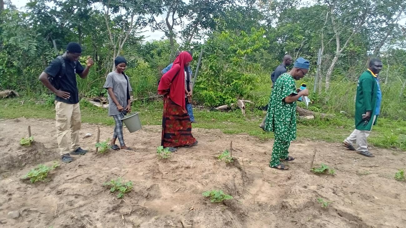 A visit to Lautech Botanical Garden