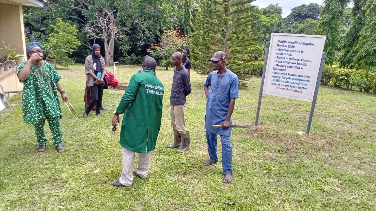 A visit to Lautech Botanical Garden